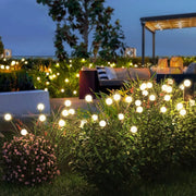 8 LED Solar Garden Lights